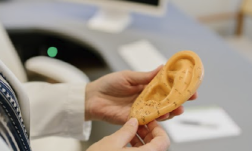 Captura de Tela 2025-08-25 às 18.25.28