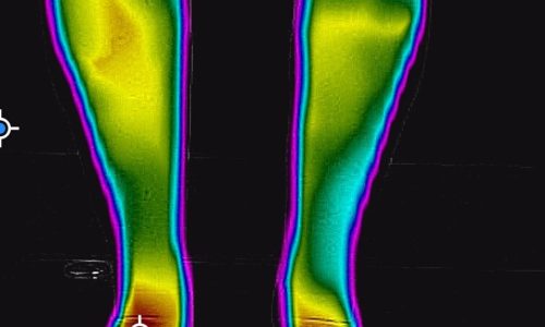 WhatsApp Image 2025-05-13 at 16.20.24