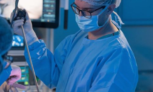 WhatsApp Image 2025-09-19 at 15.12.38 (1)